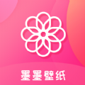 Turbo软件