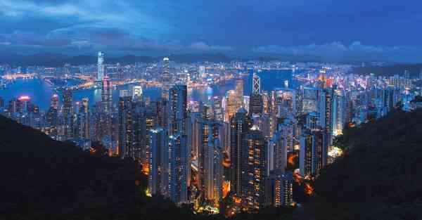布谷加速器支持免费试用账号